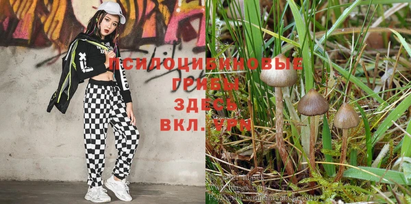бутират Алзамай